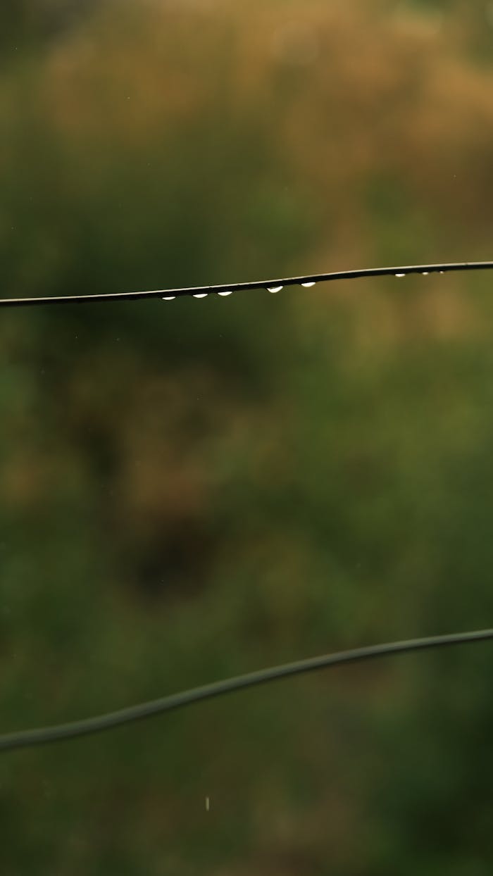 Close-up of raindrops on a wire with a blurred green and brown background.